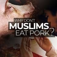 Why Don t Muslims Eat Pork 